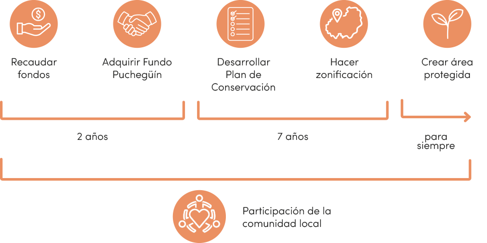 nuestro-proceso