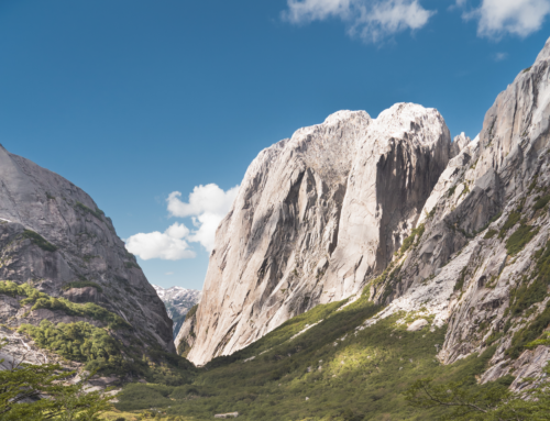 Conserva Puchegüín logra superar el 80% de la meta: “El llamado es a los chilenos a sumarse a esta causa”