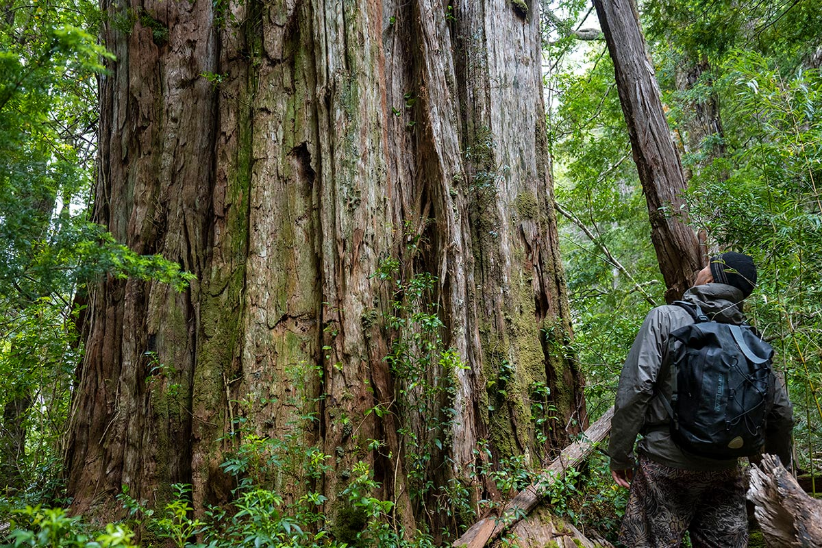 Créditos_-Matthew-Scott