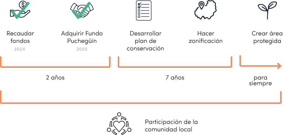 infografia
